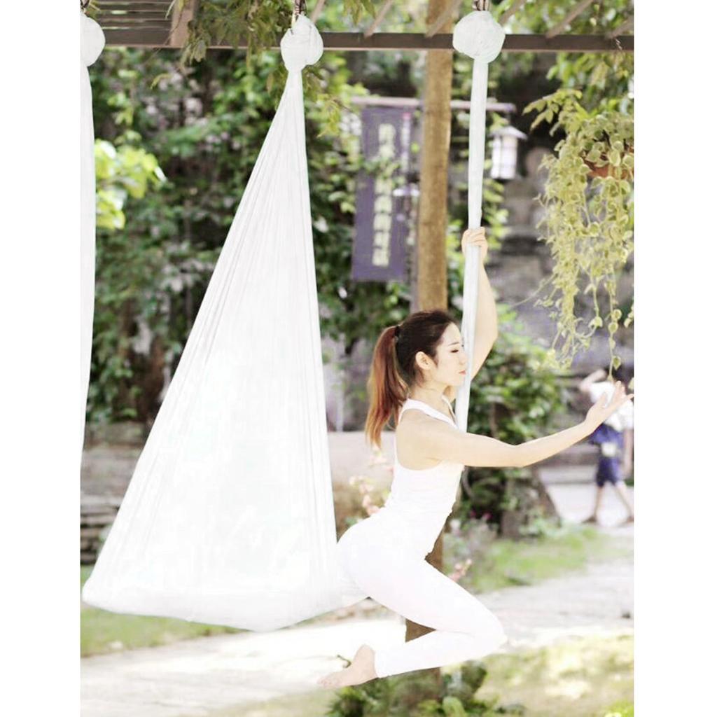 Nylon Aerial Yoga Hammock Dura - огляд і ціна Yoga Trapeze Swing