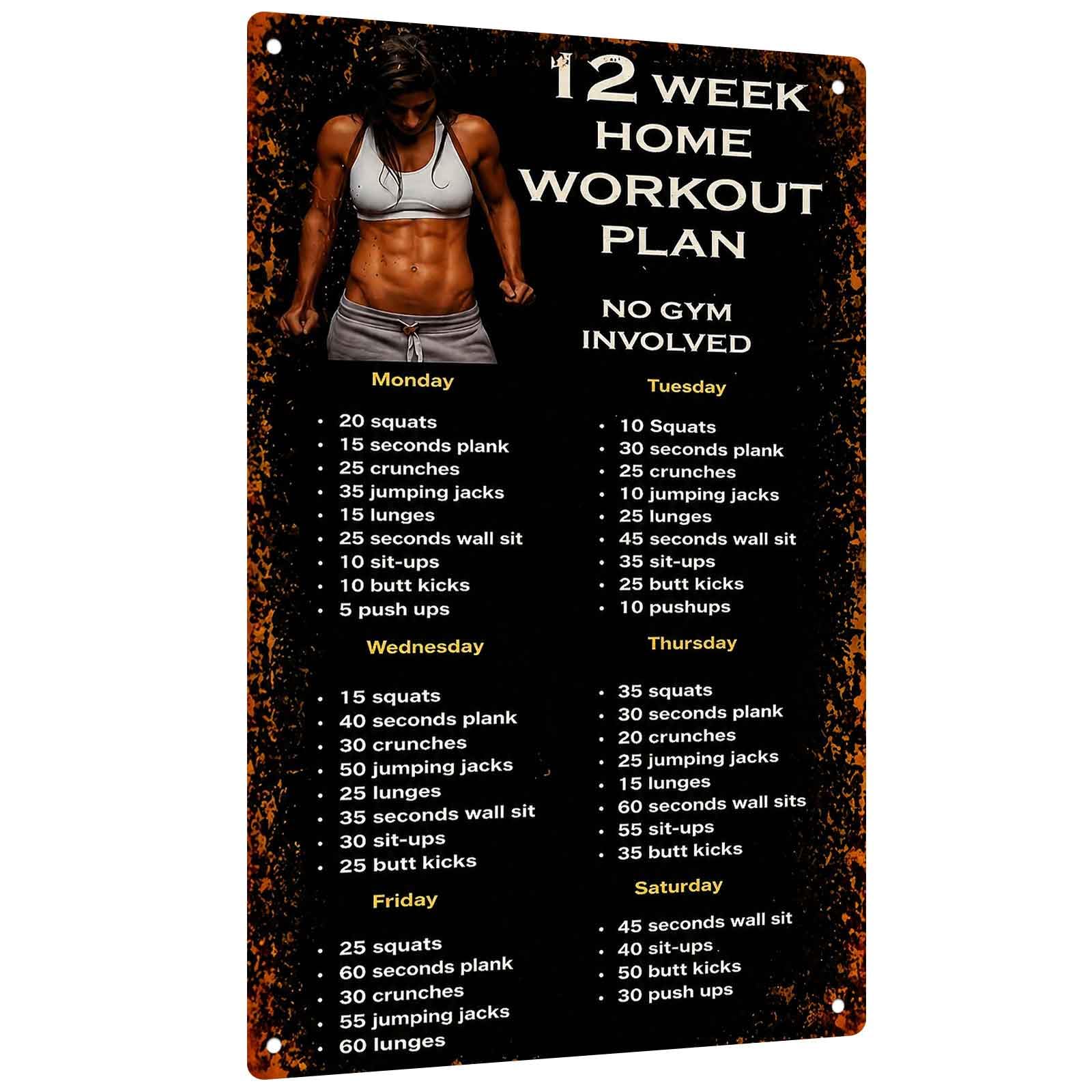 Aluminum Sign for 12-Week Home - огляд і ціна Workout Plan Home Gym